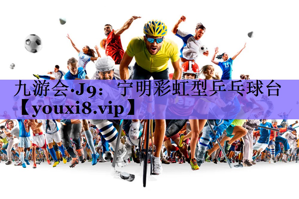 宁明彩虹型乒乓球台